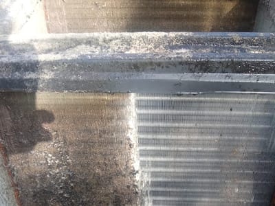 EVERESST SERVICES TECH LLC