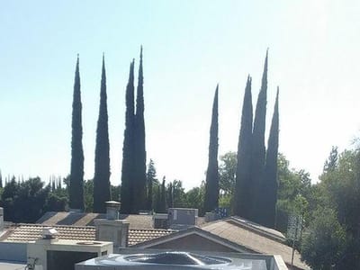 Evolution Heating & Cooling