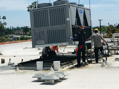 Evolution Mechanical