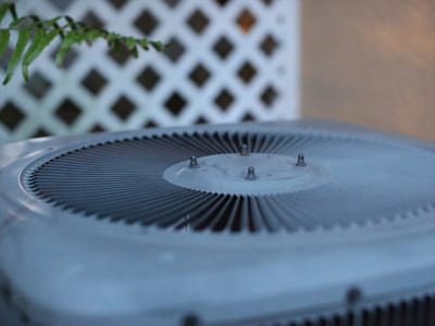 Excellent Services Group