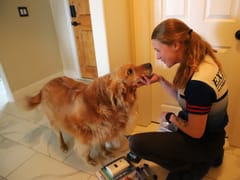 Express Plumbing Heating & Air