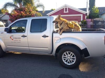 Extraction Heating And Air