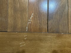 Falso Service Experts