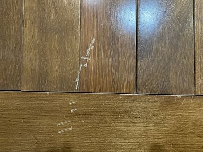 Falso Service Experts