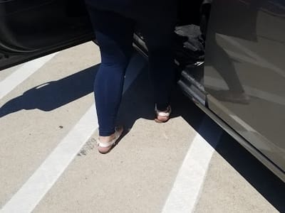 Fanning Services Inc