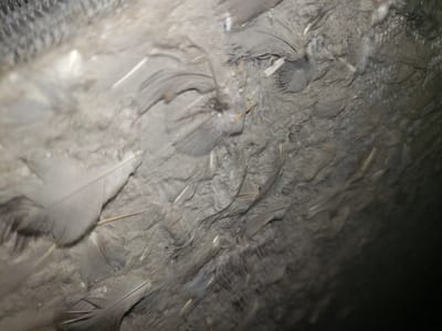 Fast Affordable Air | AC Repair