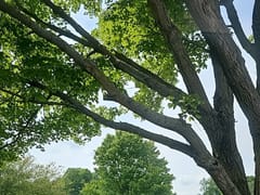 Ferguson HVAC Supply