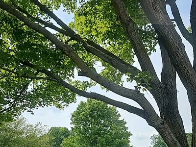 Ferguson HVAC Supply