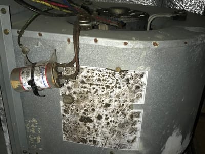 Five Star Immediate Duct Service (Hvac/Dryer/Chimney/MoldTreatment)