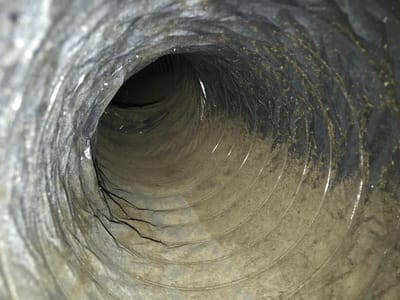 Five Star Immediate Duct Service (Hvac/Dryer/Chimney/MoldTreatment)