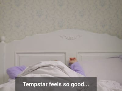 Flick Distributing, LLC