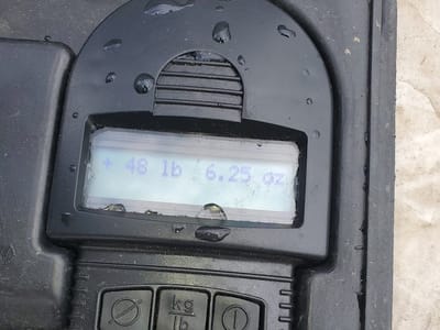 Flipped Switch Services llc