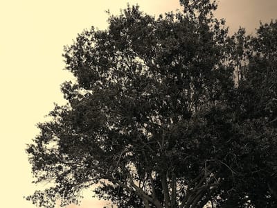 Florida Air Works Inc