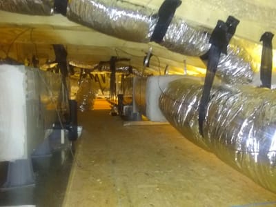 Fogel Services, Inc.