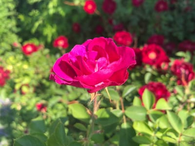 Four Seasons Heating, Air Conditioning, Plumbing, & Electric