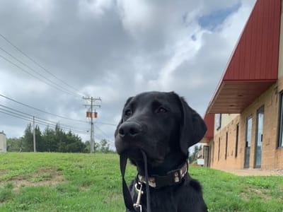 Freedom Air Heating and Cooling