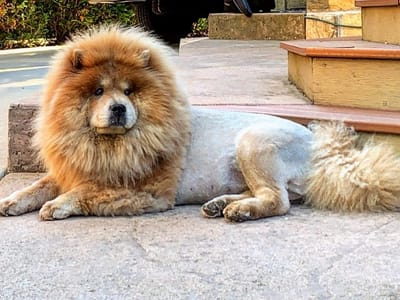 Freedom Heating, Cooling & Electrical