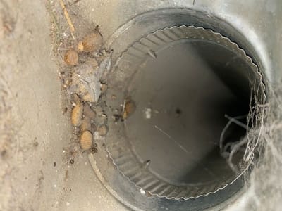 Fresh Air Duct Cleaning Englewood