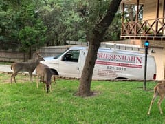 Friesenhahn Heating & Air Conditioning, Inc