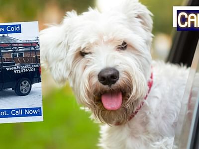 Frost Brothers Heating & Air