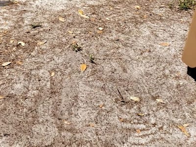 Frosty's Heating & Cooling Services, LLC