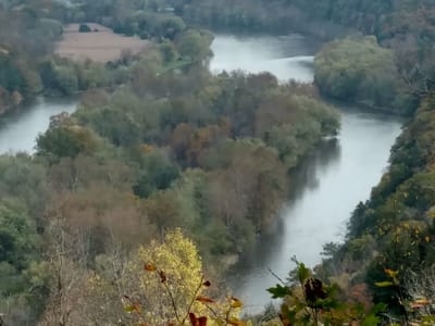 Fulkman Sales & Services