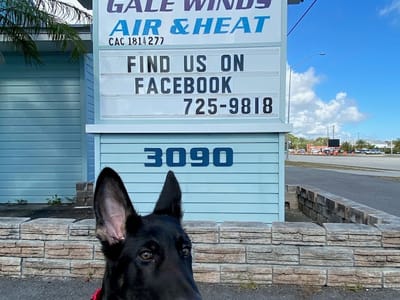 Gale Winds Air & Heat II