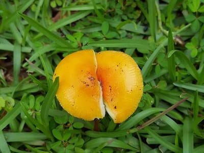 General Heating & Air, Inc