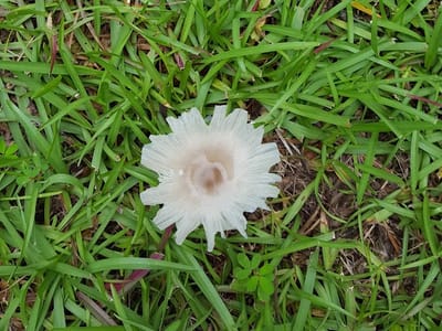 General Heating & Air, Inc