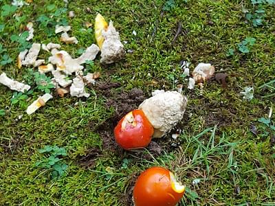 General Heating & Air, Inc