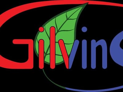 Gilvins, LLC