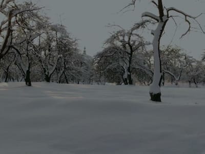 Gnoth and Lukowski Heating and Air Conditioning LLC