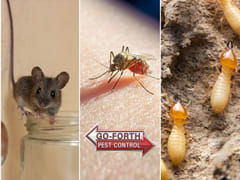 Go-Forth Pest Control