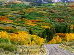 Go Green Heating & Air Conditioning