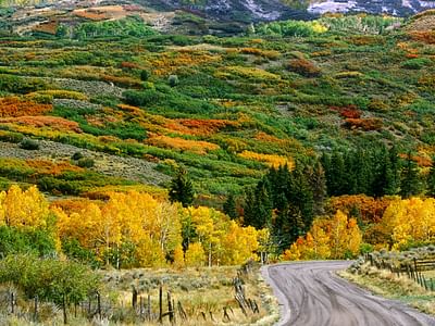 Go Green Heating & Air Conditioning