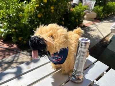 Goettl Air Conditioning and Plumbing Vista CA