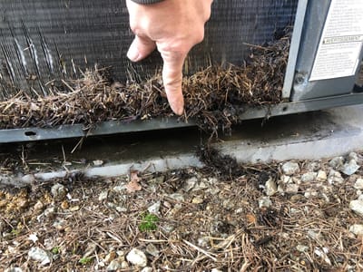 Golden State Comfort