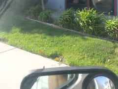 Gorsuch Plumbing, Heating, & Air Conditioning