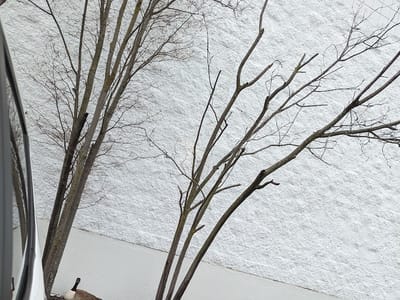 Grainger Industrial Supply