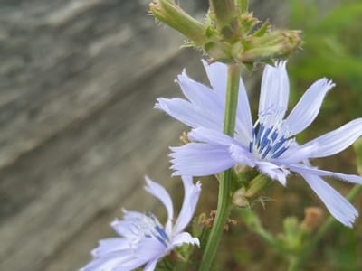 Grainger Industrial Supply