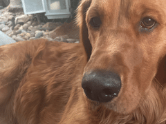 Grant Air Conditioning & Plumbing