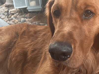 Grant Air Conditioning & Plumbing