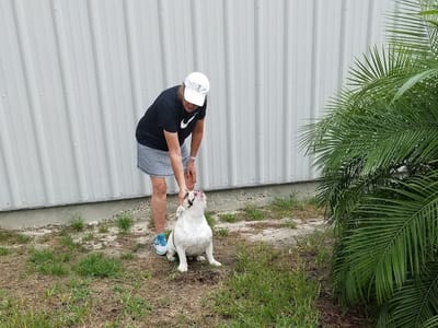 Grau Mechanical Enterprises Inc