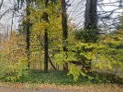 Great Lakes Heating and Air Conditioning