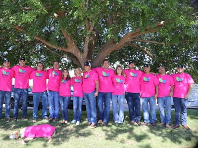 Greener Solutions Heating & A/C