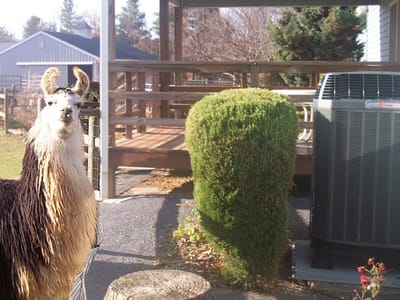 Greenfox Cooling, Heating & Plumbing