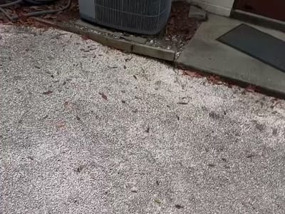 Gunn’s Service and Maintenance