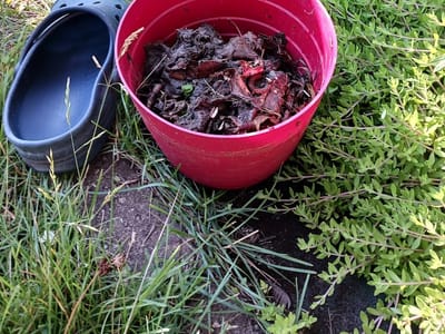 Hager Fox Heating & Air Conditioning