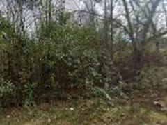 Harnist Services Inc