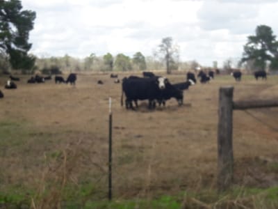 Hazlewood A/C & Heating